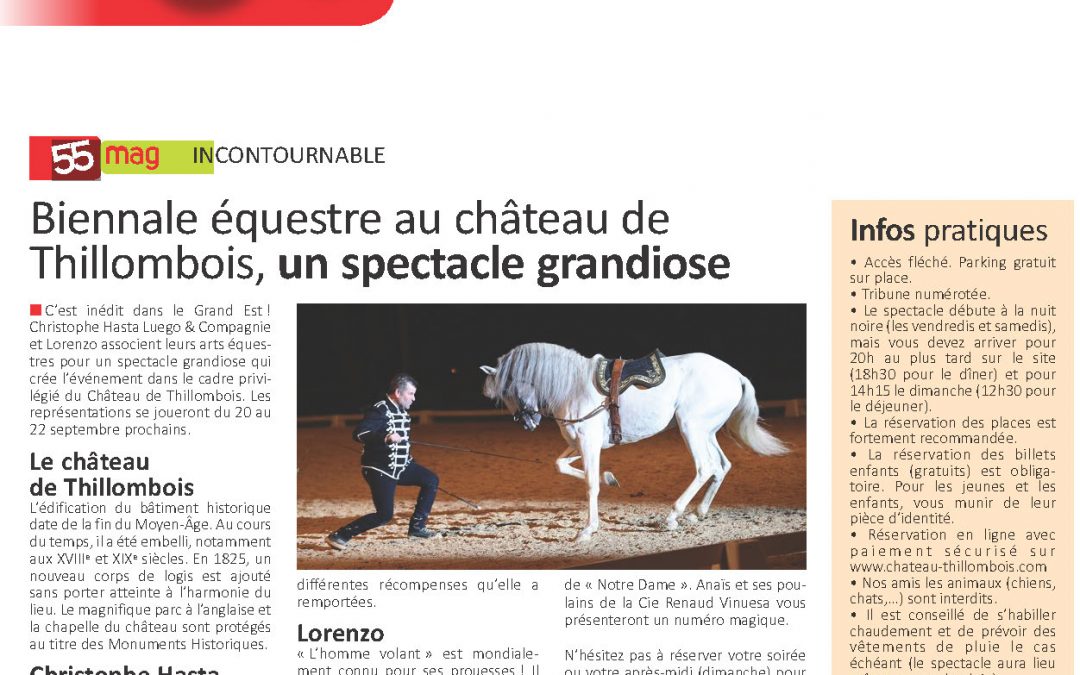 55 MAG incontournable « Spectacle Equestre Château de Thillombois 2019 »
