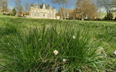 [ACTU] Le printemps s’invite dans le parc du château
