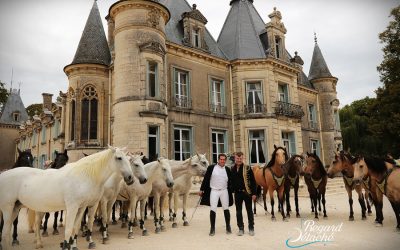 Biennale Equestre au château de Thillombois, les 16, 17, 18 septembre 2022