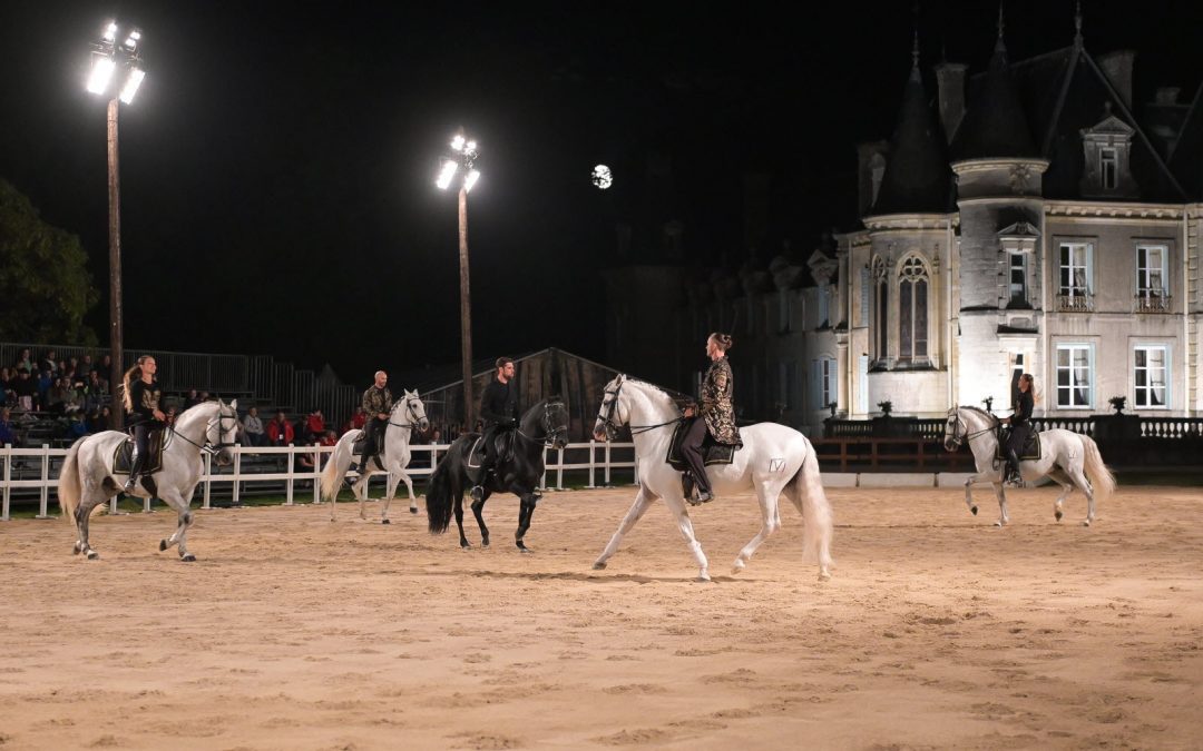 Biennale équestre : les chevaux rois